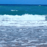 Reportes de olas en tiempo real para actividades acuáticas