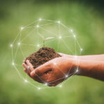 Consejos y estrategias para el turismo sostenible en playas de El Salvador