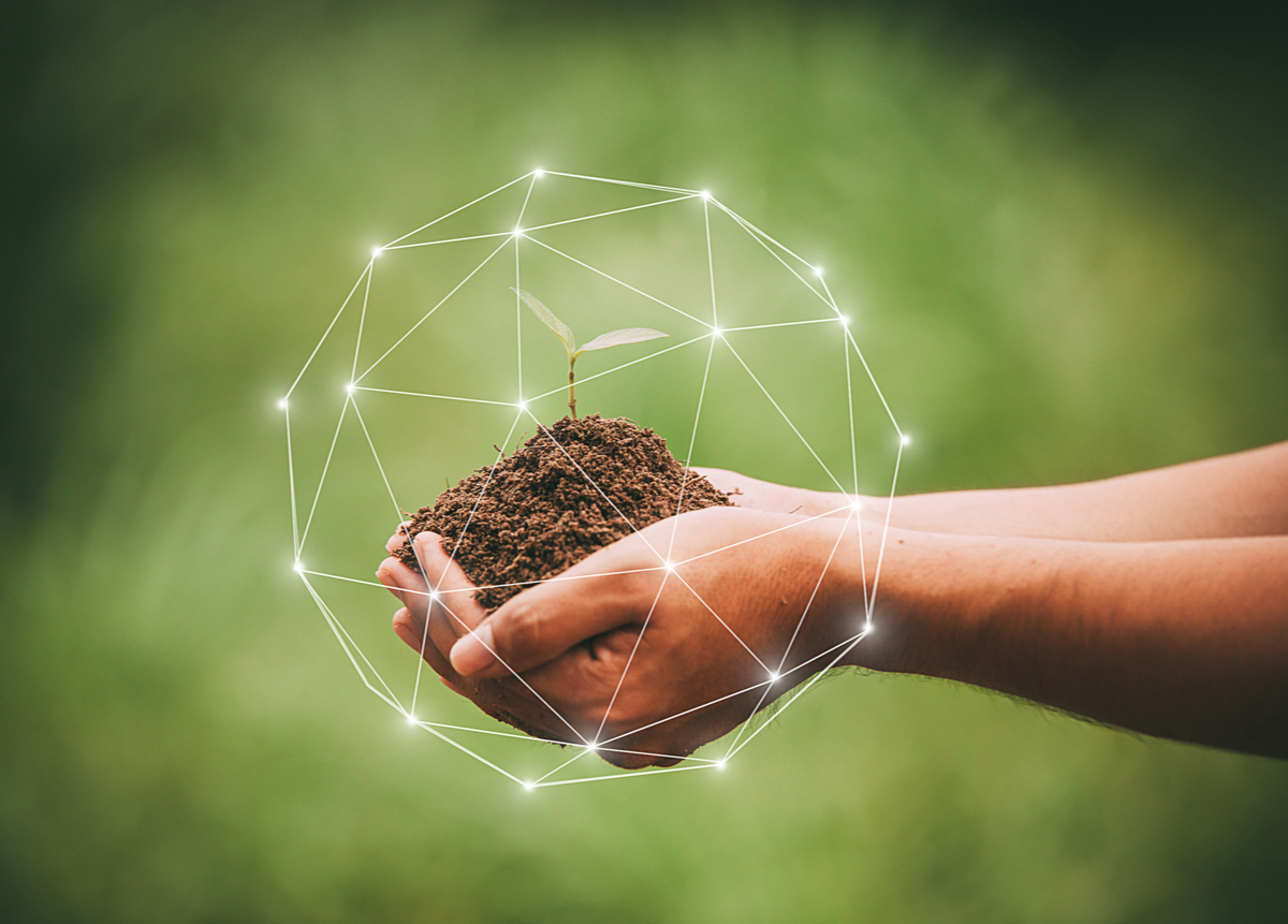 Consejos y estrategias para el turismo sostenible en playas de El Salvador-1