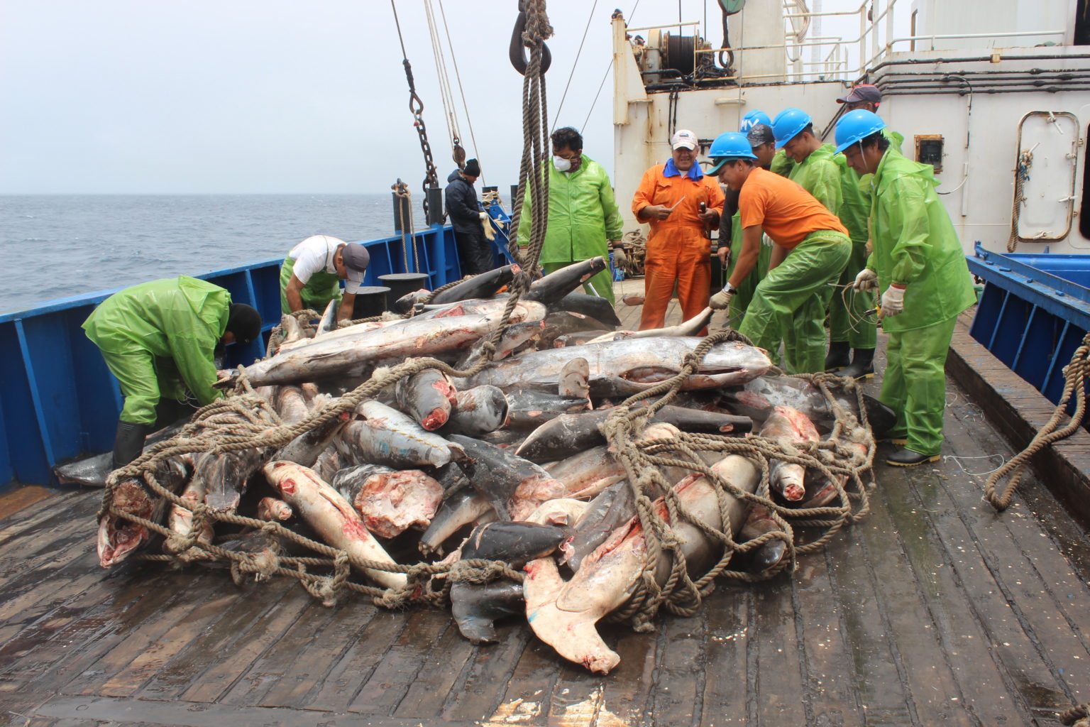 Medidas y estrategias contra la pesca ilegal en El Salvador-1