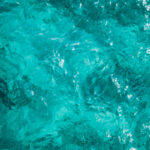 Los beneficios para la salud de estar en contacto con el agua del mar