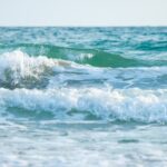 Mejores épocas para surfear en El Salvador: disfruta de olas todo el año