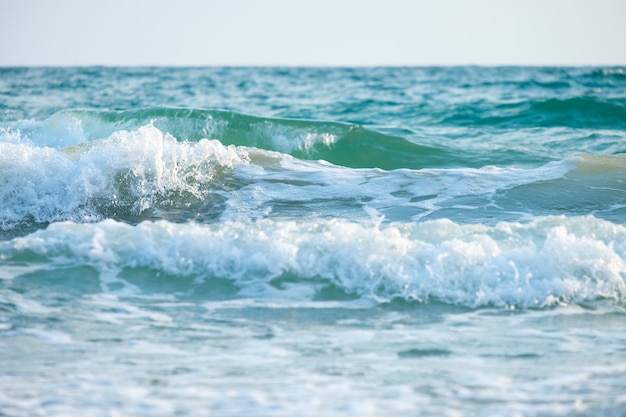 Mejores épocas para surfear en El Salvador: disfruta de olas todo el año-1